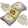 money-icon